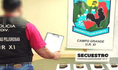 La Policía de Misiones secuestró marihuana escondida a la vera de la Ruta Provincial 8