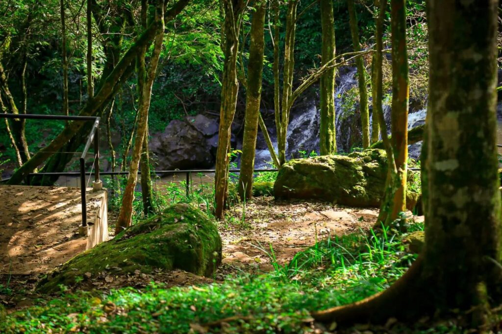 Autoridades provinciales y municipales recorrieron las obras de Puesta en Valor del Parque Natural Municipal Salto Küppers