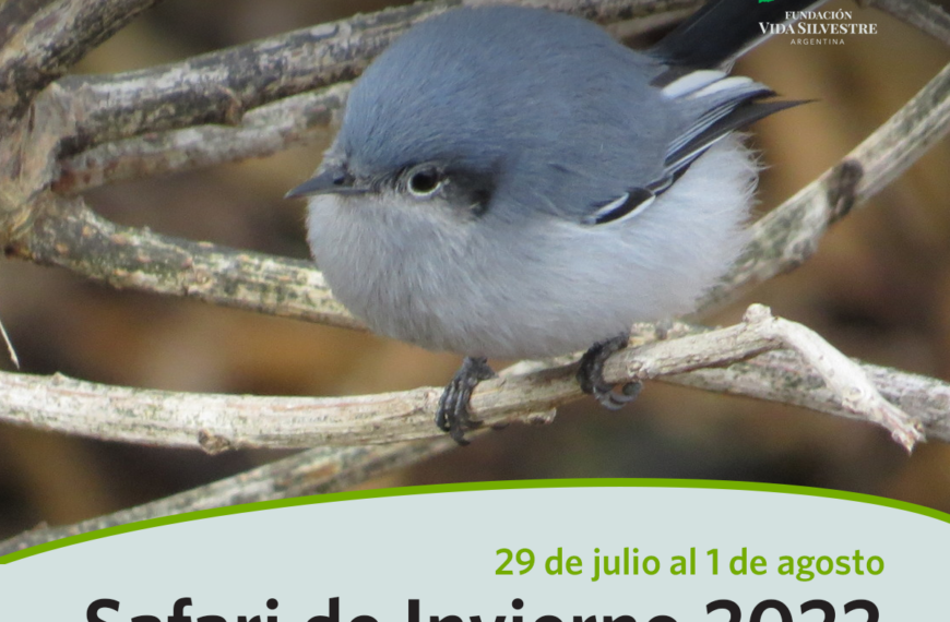 Safari de Invierno, el nuevo evento de ciencia ciudadana