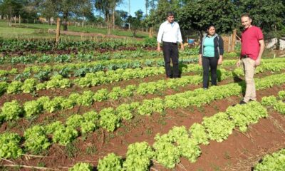 Fortalecen el acompañamiento a productores hortícolas de Eldorado