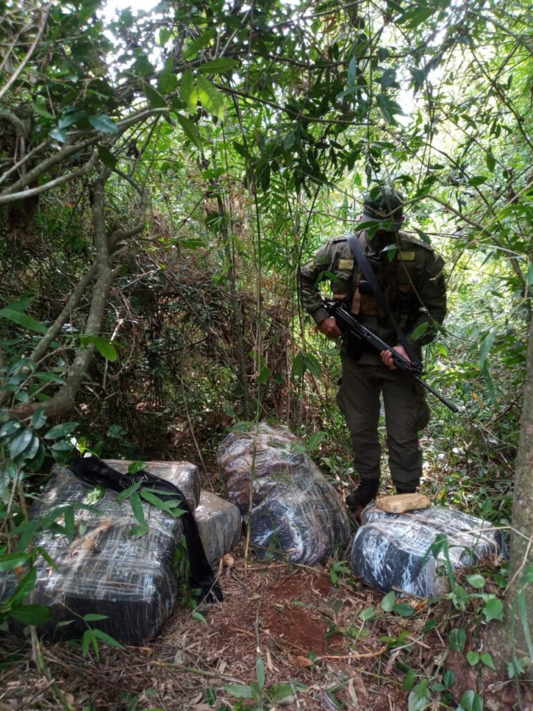 Gendarmería secuestró casi 100 kilos de marihuana en Colonia Delicia
