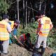 Alumnos de la EAE y Arbolado Público de Eldorado plantan árboles nativos en el acceso a la ciudad