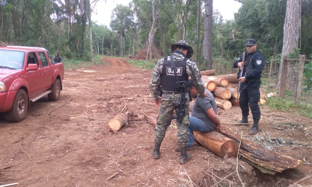 Detuvieron a un hombre por el robo de madera implantada, amenazas y resistencia a las autoridades