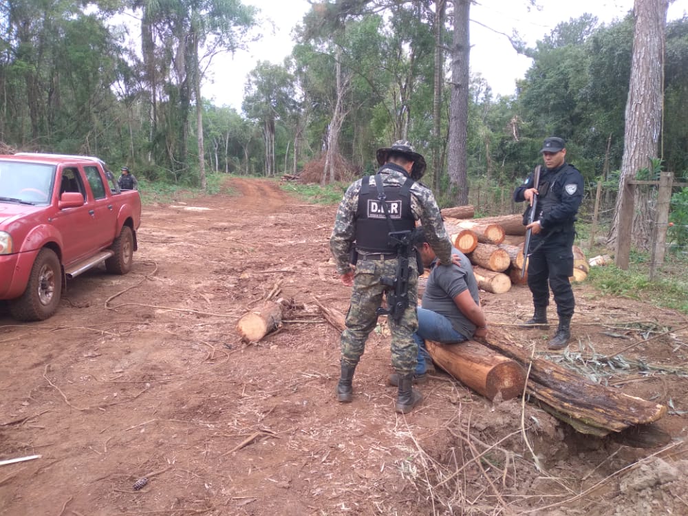 Detuvieron a un hombre por el robo de madera implantada, amenazas y resistencia a las autoridades