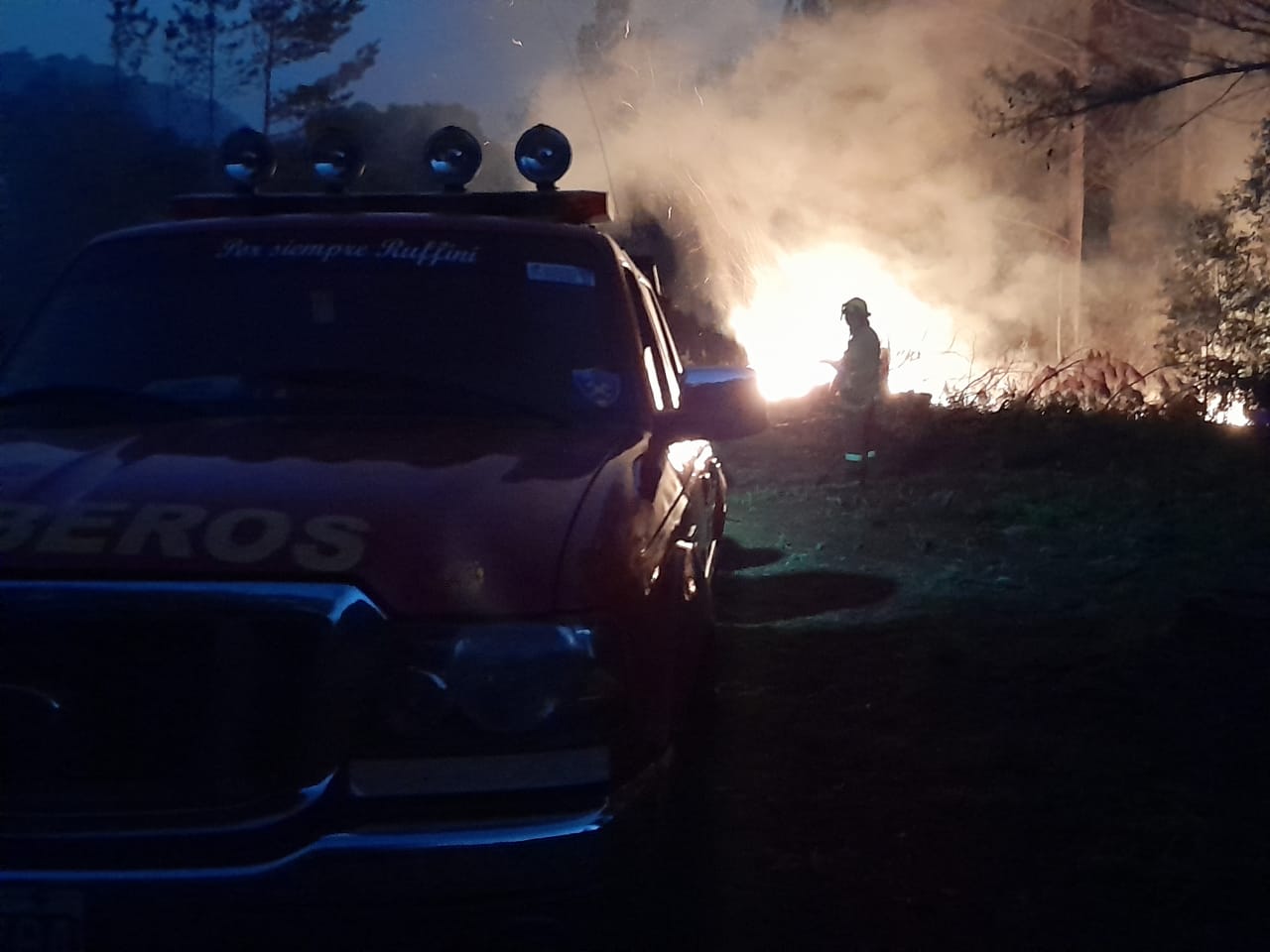 Un hombre terminó detenido tras incendiar cinco hectáreas de pino en Campo Grande
