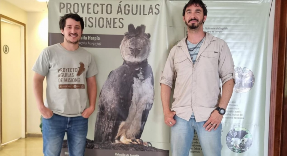 Descubren el primer nido de Águila Viuda para Argentina en un Área Protegida de Misiones