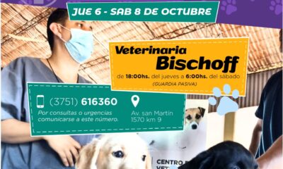 Se informan las veterinarias de turno para el fin de semana largo en Eldorado