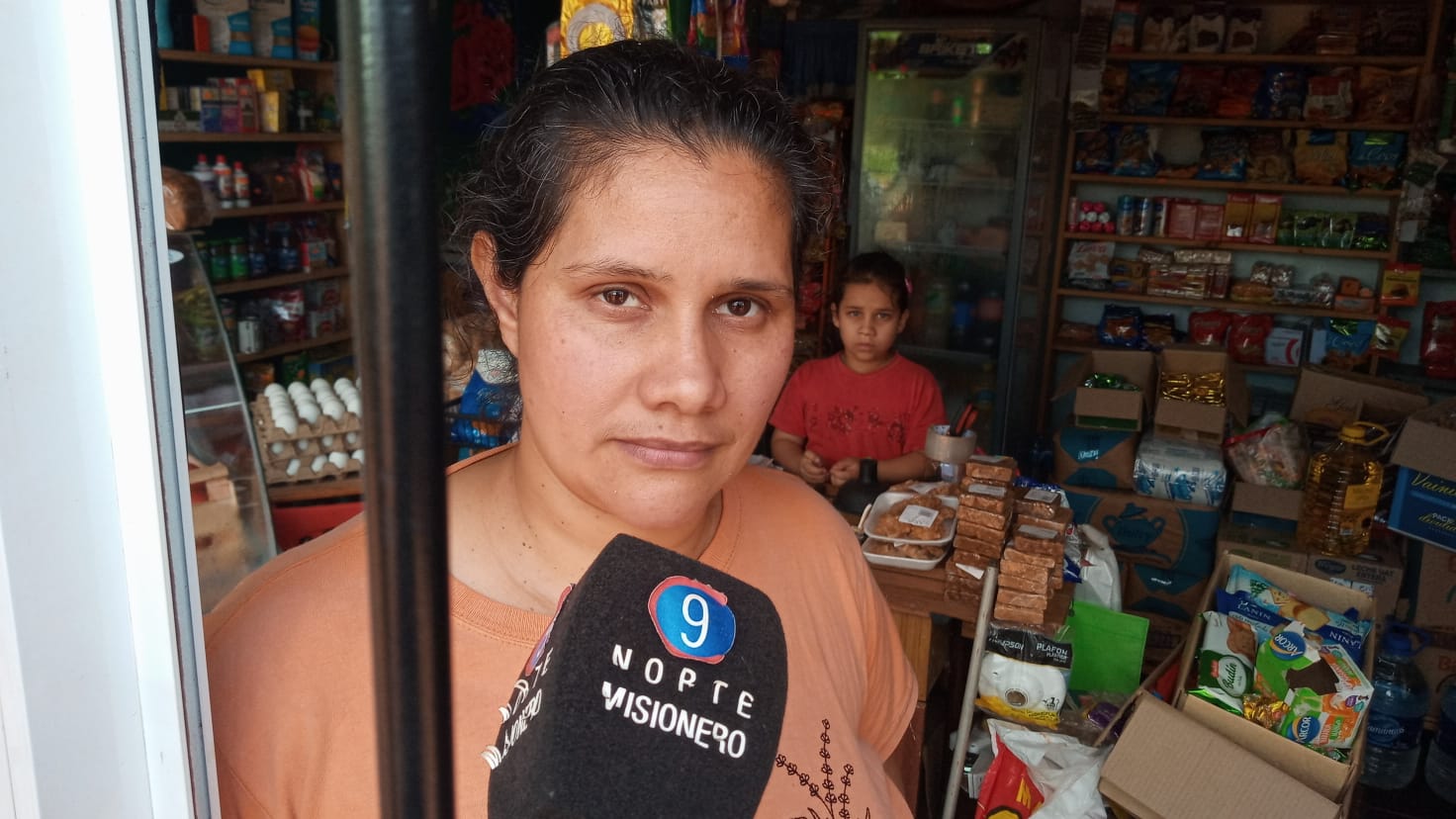 Robaron garrafas y otros elementos de un comercio del barrio Sarmiento