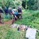 Arrestaron a tres cazadores furtivos en la reserva Yabotí y secuestraron armas de fuego