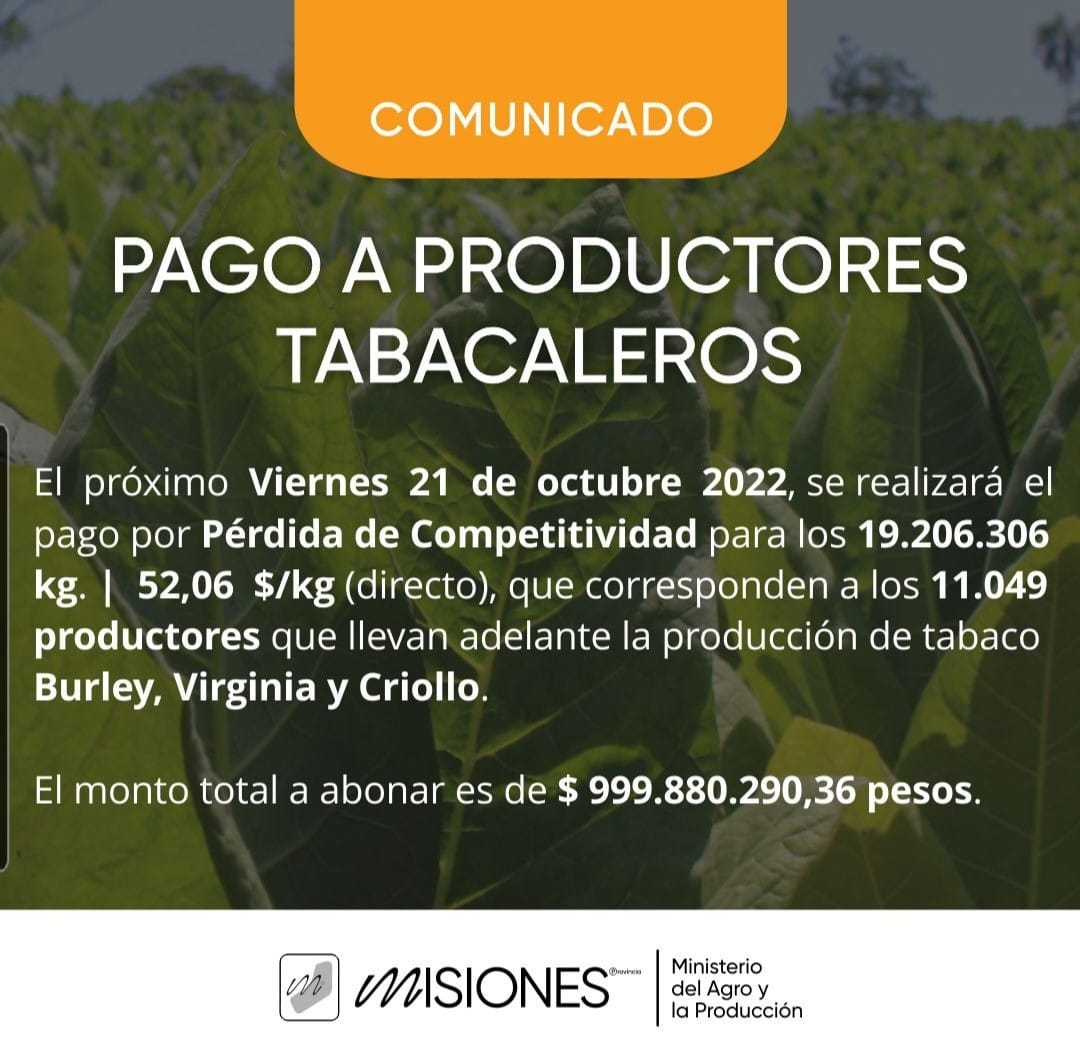 Anuncian que el viernes efectuarán el pago por Pérdida de Competitividad a productores tabacaleros