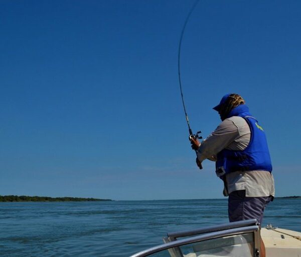Comenzó la veda total de pesca en el río Uruguay