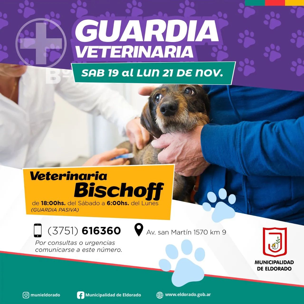 Veterinaria Bischoff estará de turno durante este fin de semana largo