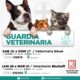 Veterinaria de turno del fin de semana