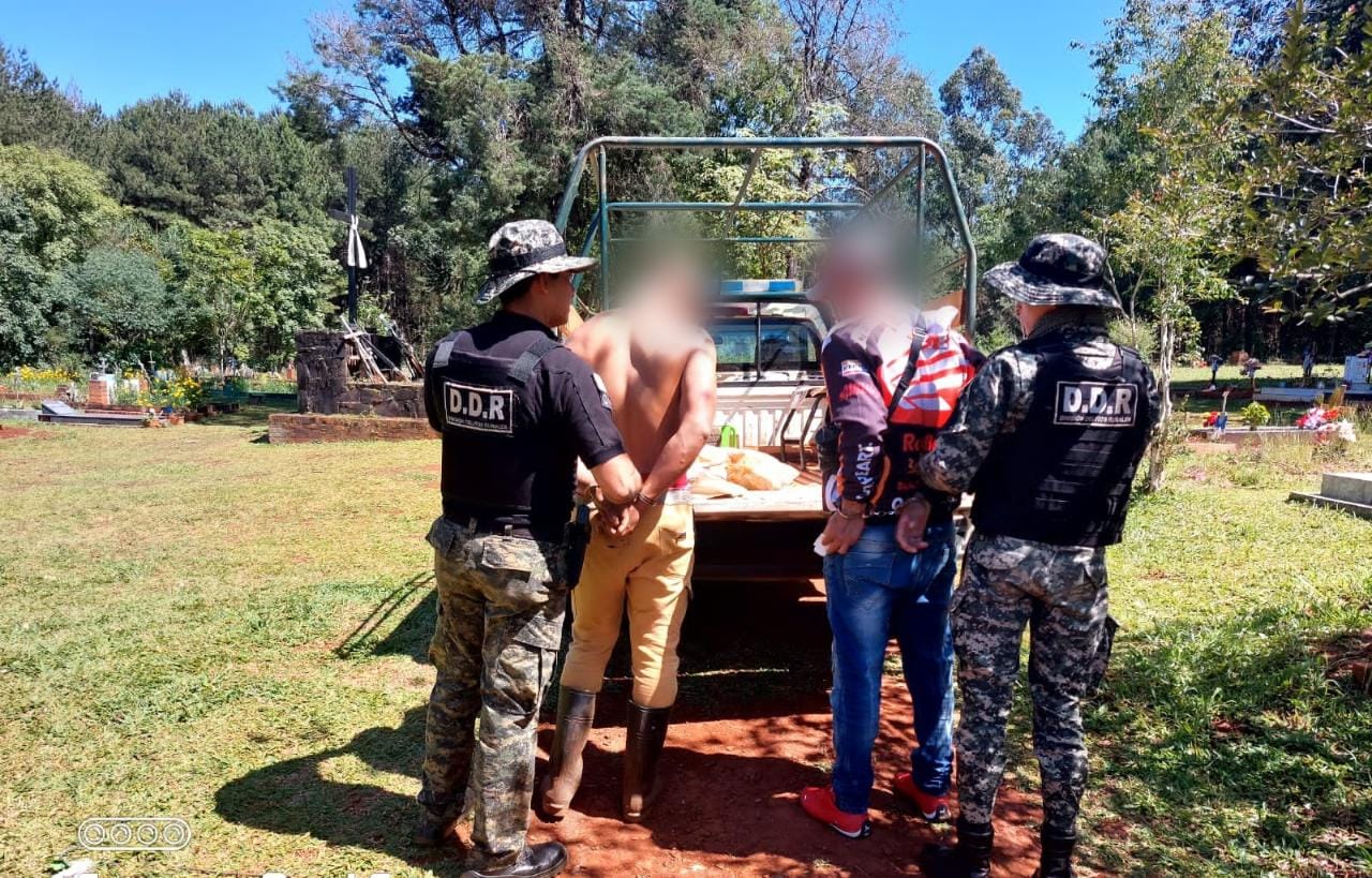 Intentaban sustraer productos de granjas y fueron detenidos en Montecarlo En la mañana de este martes, efectivos de la División Delitos Rurales de Montecarlo, en colonia de Itacuruzú, detuvieron a dos jóvenes de 24, y 31 años de edad, quienes presuntamente intentaban sustraer productos de las chacras de la zona, además se le detuvo la motocicleta en la cual estos se desplazaban. La intervención se dio luego de que los colonos de la zona manifestaran su preocupación, por las sustracciones y daños que estaban sufriendo en sus cultivos, aparentemente en horas del mediodía y por la noche, así mismo notaron la presencia de personas extrañas en el lugar. Por lo tanto, en el marco de los operativos rurales, esta mañana los uniformados recorrían la zona cuando divisaron a dos sujetos en actitud sospechosa a bordo de una motocicleta, y cuando solicitaron que estos se detengan huyen del lugar, adentrándose en un cementerio donde ocultaron la motocicleta tras unos árboles, pero de todas maneras fueron apresados, constatándose además que entre sus prendadas de vestir tenían varias bolsas arpillera. Finalmente, los demorados fueron conducidos a sede policial a los fines legales correspondiente, mientras que se busca establecer la procedencia de la motocicleta