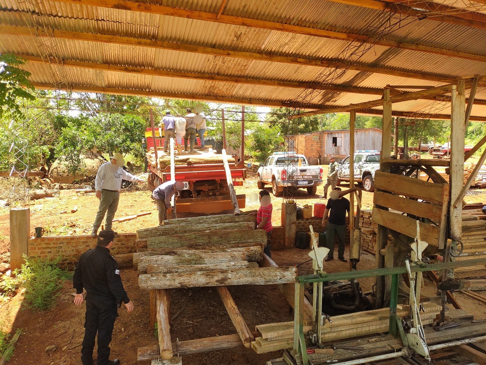 Secuestraron gran cantidad de madera nativa extraída y comercializada ilegalmente en Eldorado