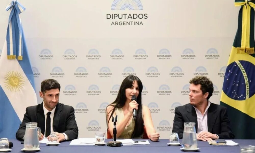 Cristina Britez fue elegida como Presidenta del Grupo Parlamentario de Amistad con Brasil