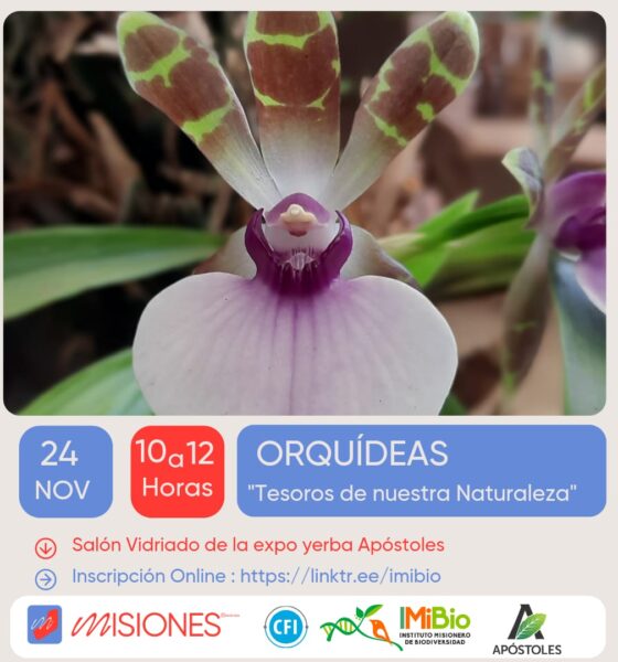Este jueves se realizará en Apóstoles el curso de orquídeas