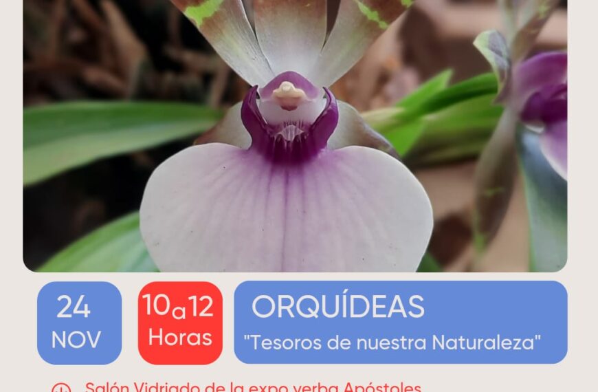 Este jueves se realizará en Apóstoles el curso de orquídeas
