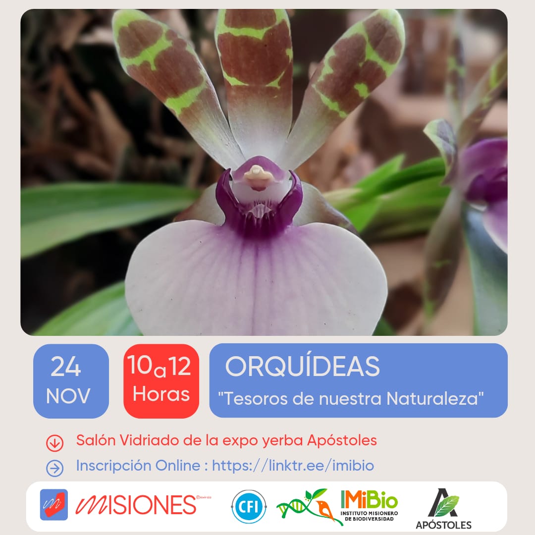 Este jueves se realizará en Apóstoles el curso de orquídeas