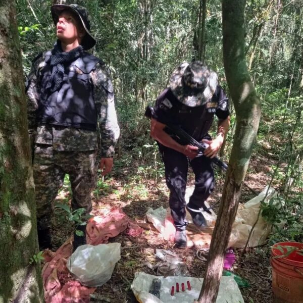 Desmantelaron un campamento de cazadores furtivos, hay dos detenidos y un auto secuestrado