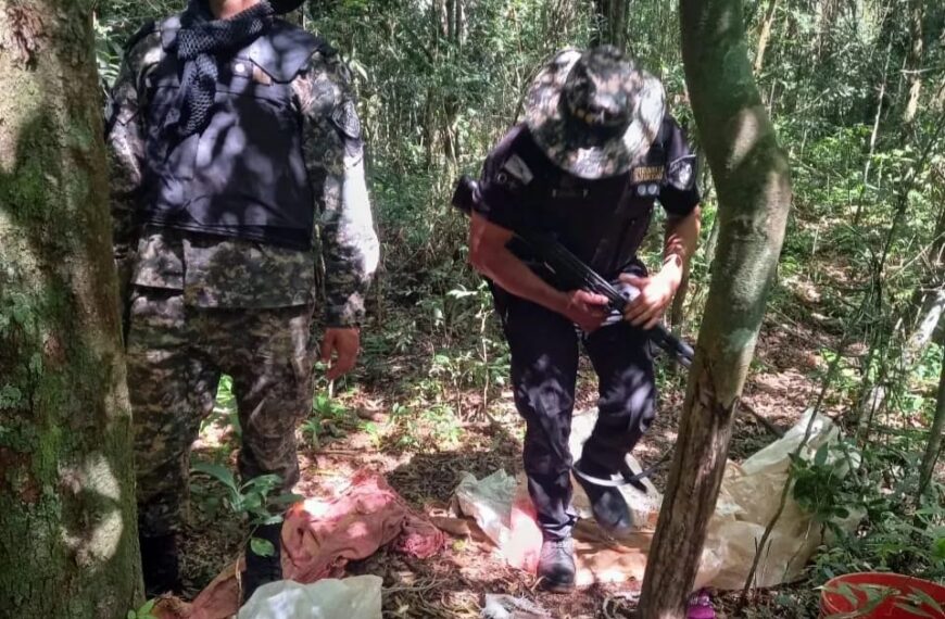Desmantelaron un campamento de cazadores furtivos, hay dos detenidos y un auto secuestrado