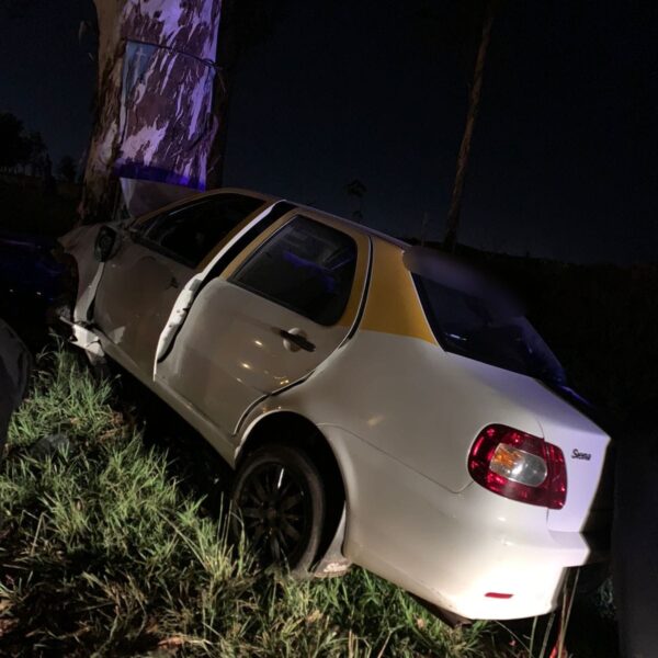 Taxista falleció tras despistar y chocar contra un árbol
