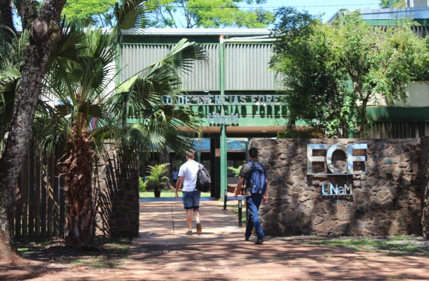 Se encuentran abiertas las inscripciones a concursos docentes en la Facultad de Ciencias Forestales