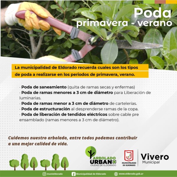La Municipalidad informa sobre los tipos de podas permitidas en primavera - verano
