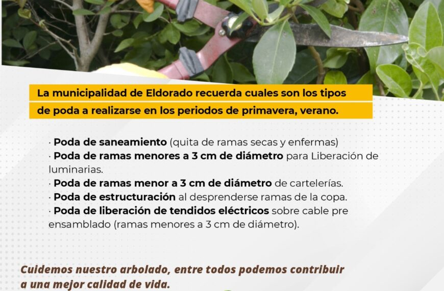 La Municipalidad informa sobre los tipos de podas permitidas en primavera - verano