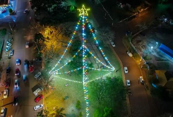 El árbol de luces ya ilumina la Plazoleta El Colono