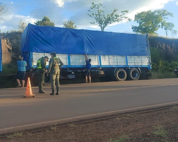 Gendarmes interceptaron dos camiones con más de 100 toneladas de granos de soja en El Soberbio