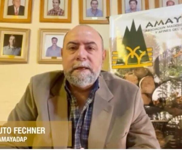 Gauto Fechner sobre crisis en la forestoindustria: “Estamos bastante preocupados”