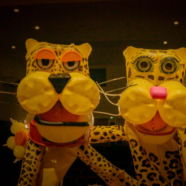 “Tereré Títeres”, se planta la semilla de un nuevo festival