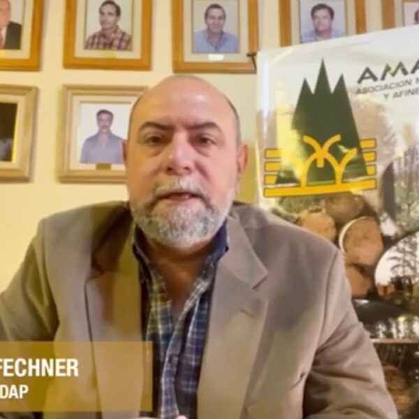 Madereros solicitaron medidas para seguir produciendo y evitar cierre de industrias