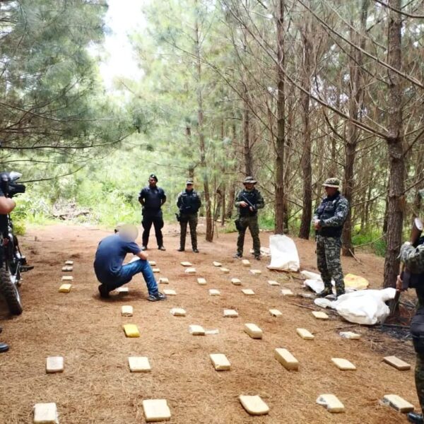 Incautaron cuatro bolsas repletas de marihuana en una zona de monte en San Pedro