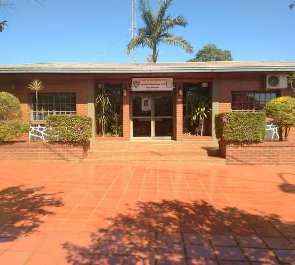 Un motosierrista falleció luego de ser aplastado por un árbol en San Pedro