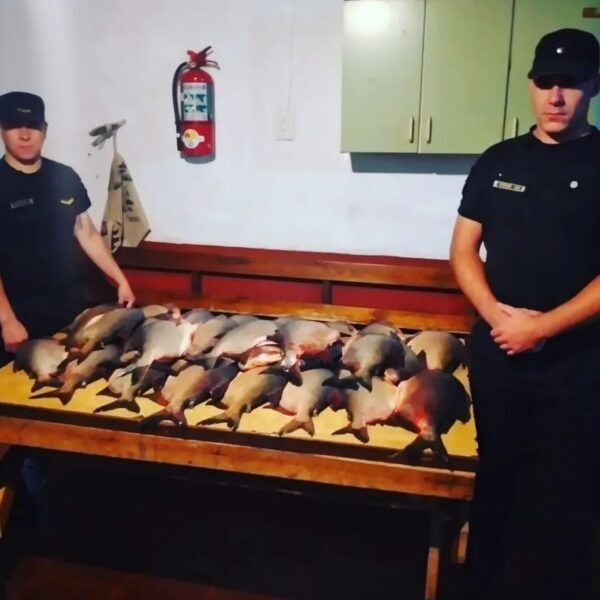 Robó 35 pescados de un campo y fue detenido cuando intentaba huir