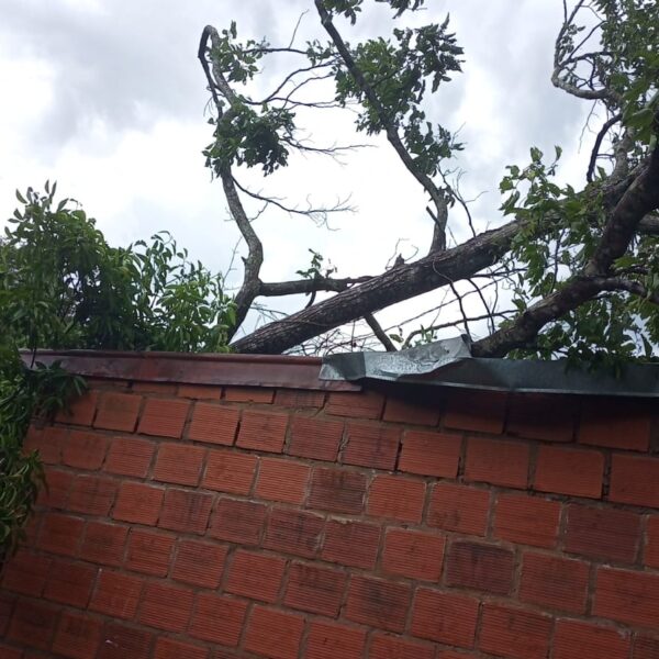 El temporal provocó daños en varias viviendas