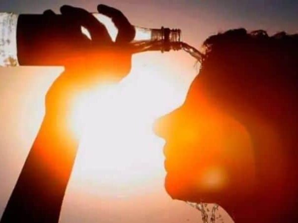 Viernes con fuerte calor: la térmica superaría los 45ºC en Misiones