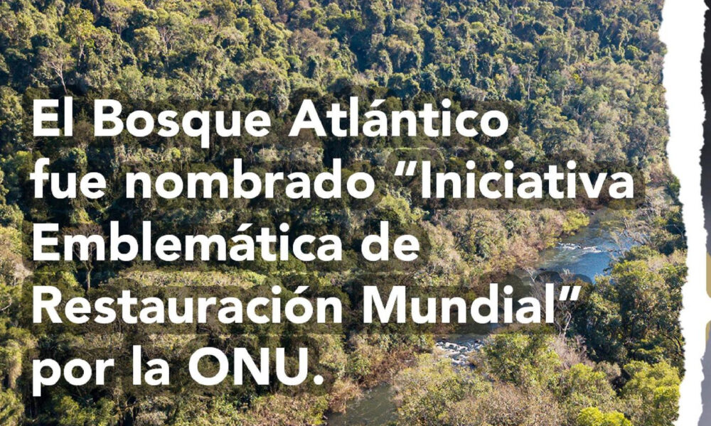El Bosque Atlántico nombrado Iniciativa Emblemática de Restauración Mundial