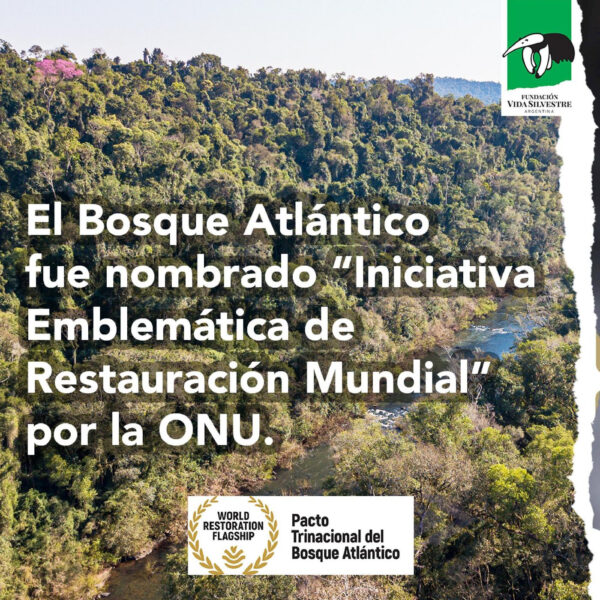 El Bosque Atlántico nombrado Iniciativa Emblemática de Restauración Mundial