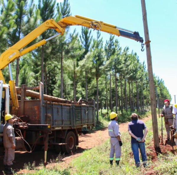 Colonia Delicia ya cuenta con energía eléctrica de calidad