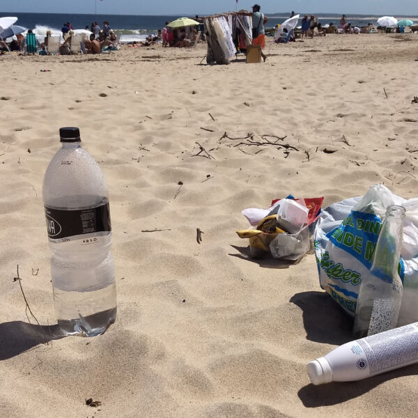 Más del 70% de los residuos censados en las playas bonaerenses continúan siendo plásticos