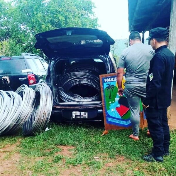 Detuvieron a un hombre con casi 250 kilos de cables robados de una línea de alta tensión