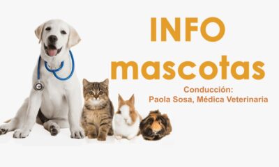 Este martes comienza el Micro Info Mascotas por Canal 9 Norte Misionero