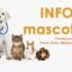 Este martes comienza el Micro Info Mascotas por Canal 9 Norte Misionero