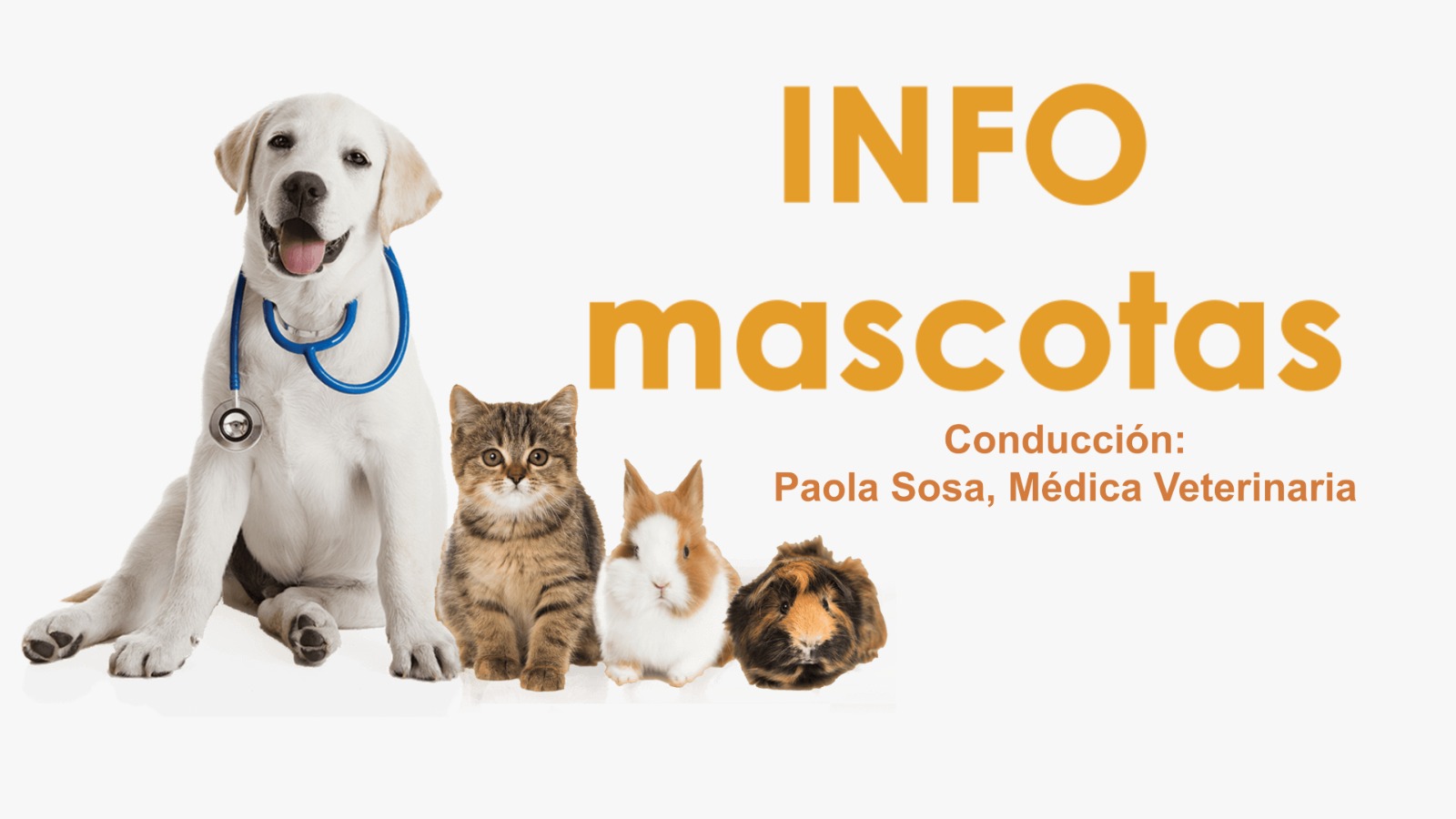 Este martes comienza el Micro Info Mascotas por Canal 9 Norte Misionero