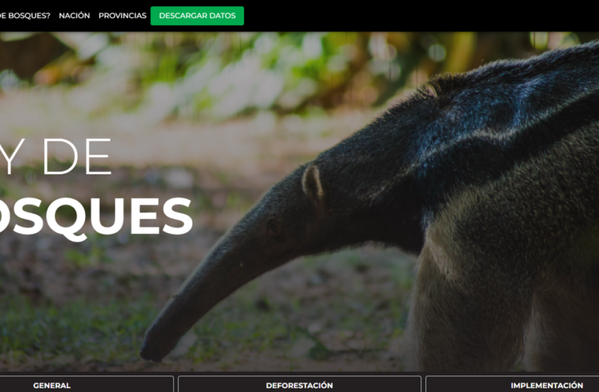 Fundación Vida Silvestre Argentina lanzó un nuevo micrositio sobre la Ley de Bosques Nativos 