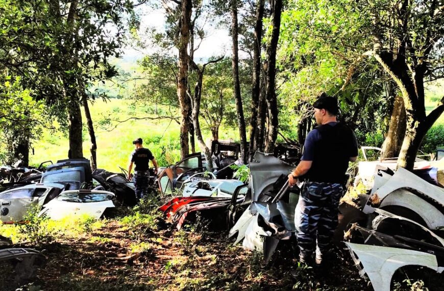 Operación desguace: En San Javier desmantelaban autos robados en una chacra