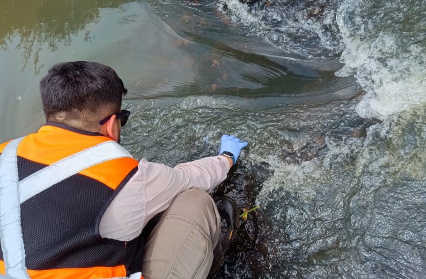 Ecología y el Municipio de Wanda analizan la calidad del agua de los arroyos Tupicuá y Casualidad